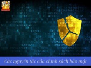 Nhatvip bảo mật tuyệt đối: An toàn tuyệt đối cho người chơi trong mọi giao dịch